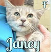 JANEY