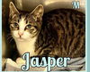 JASPER