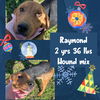RAYMOND