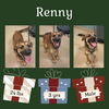 RENNY