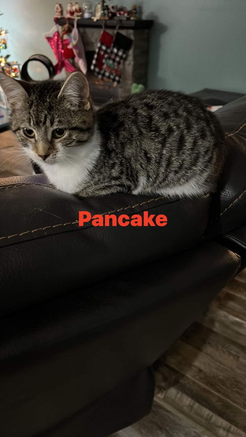 PANCAKE