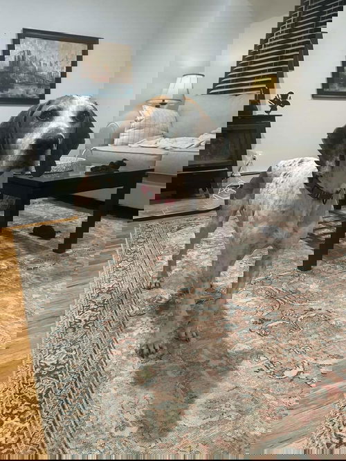 RANGER