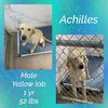 ACHILLES