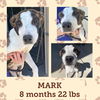MARK