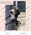 MARTHA