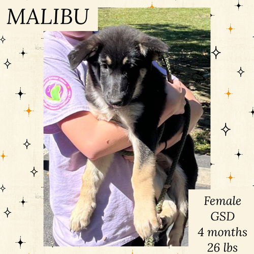 MALIBU