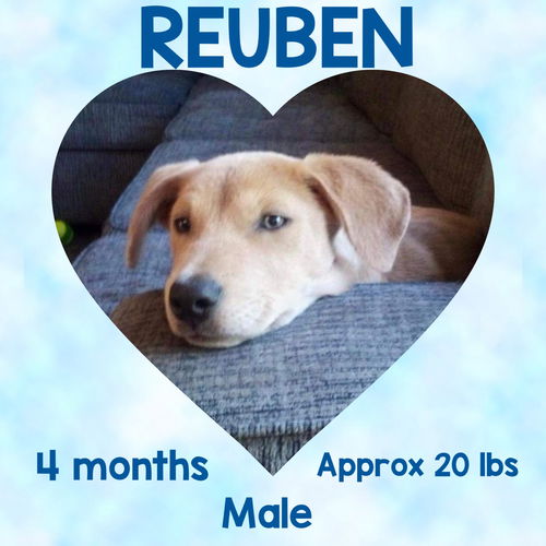 REUBEN