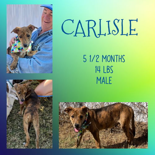 CARLISLE