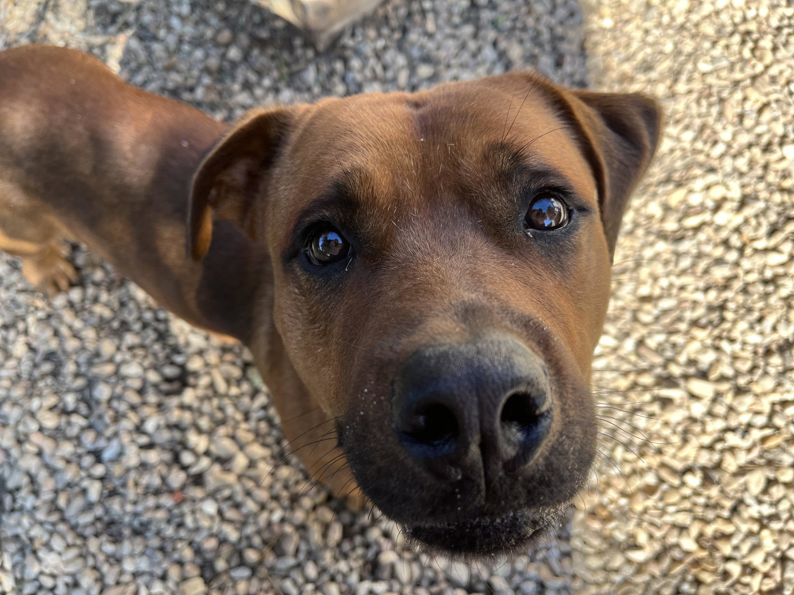 GUS, photo 15