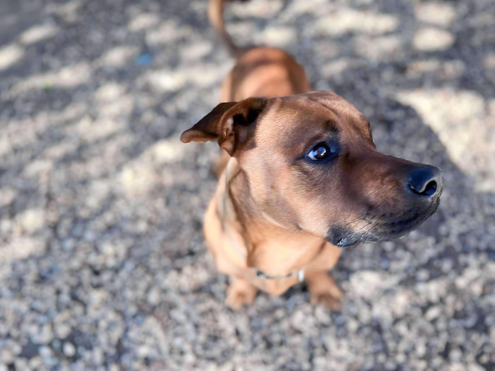 GUS, photo 16