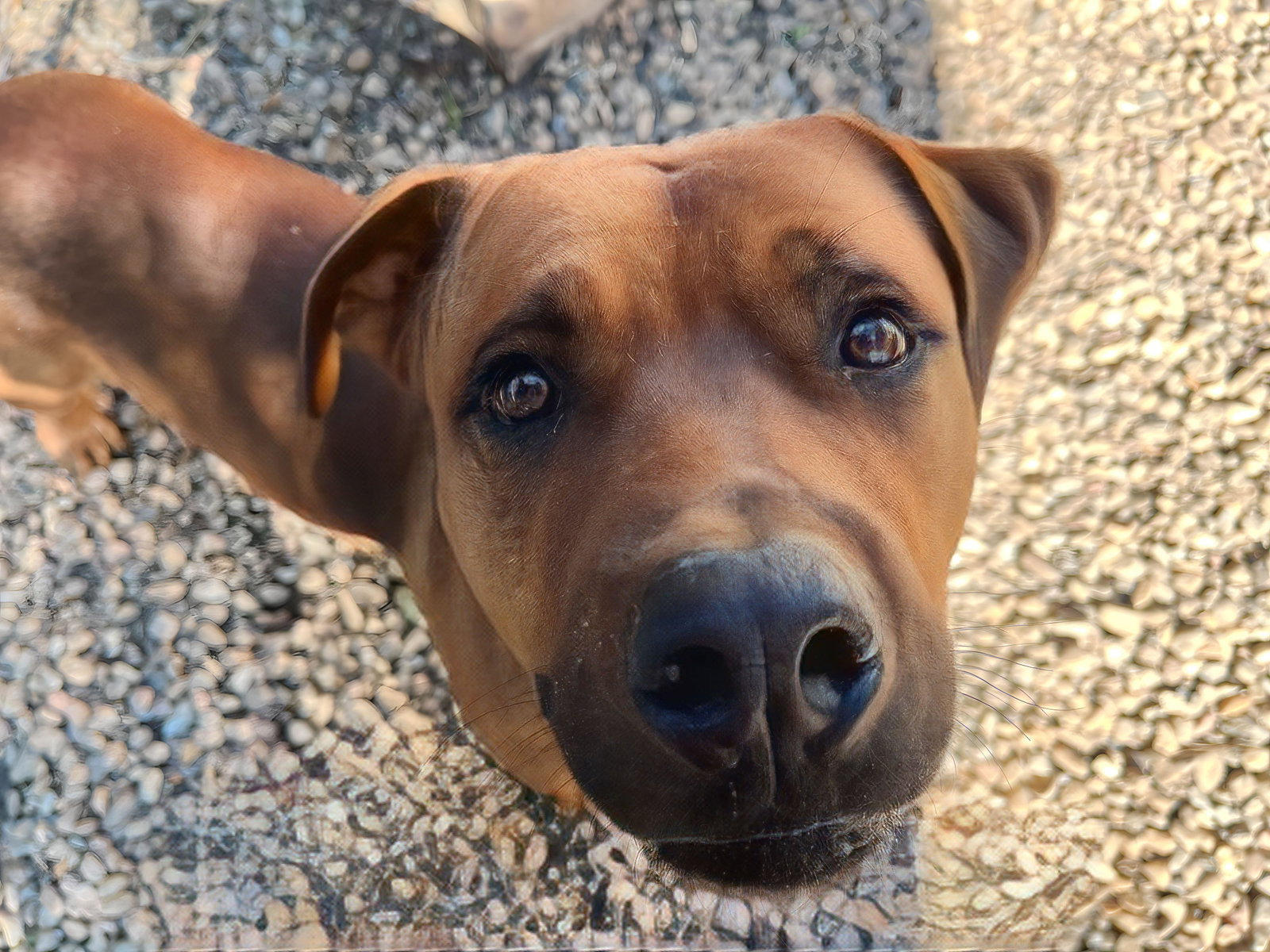 GUS, photo 17