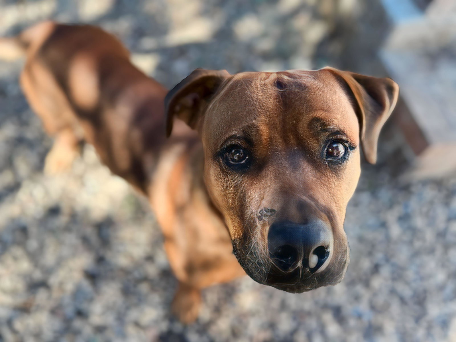 GUS, photo 14