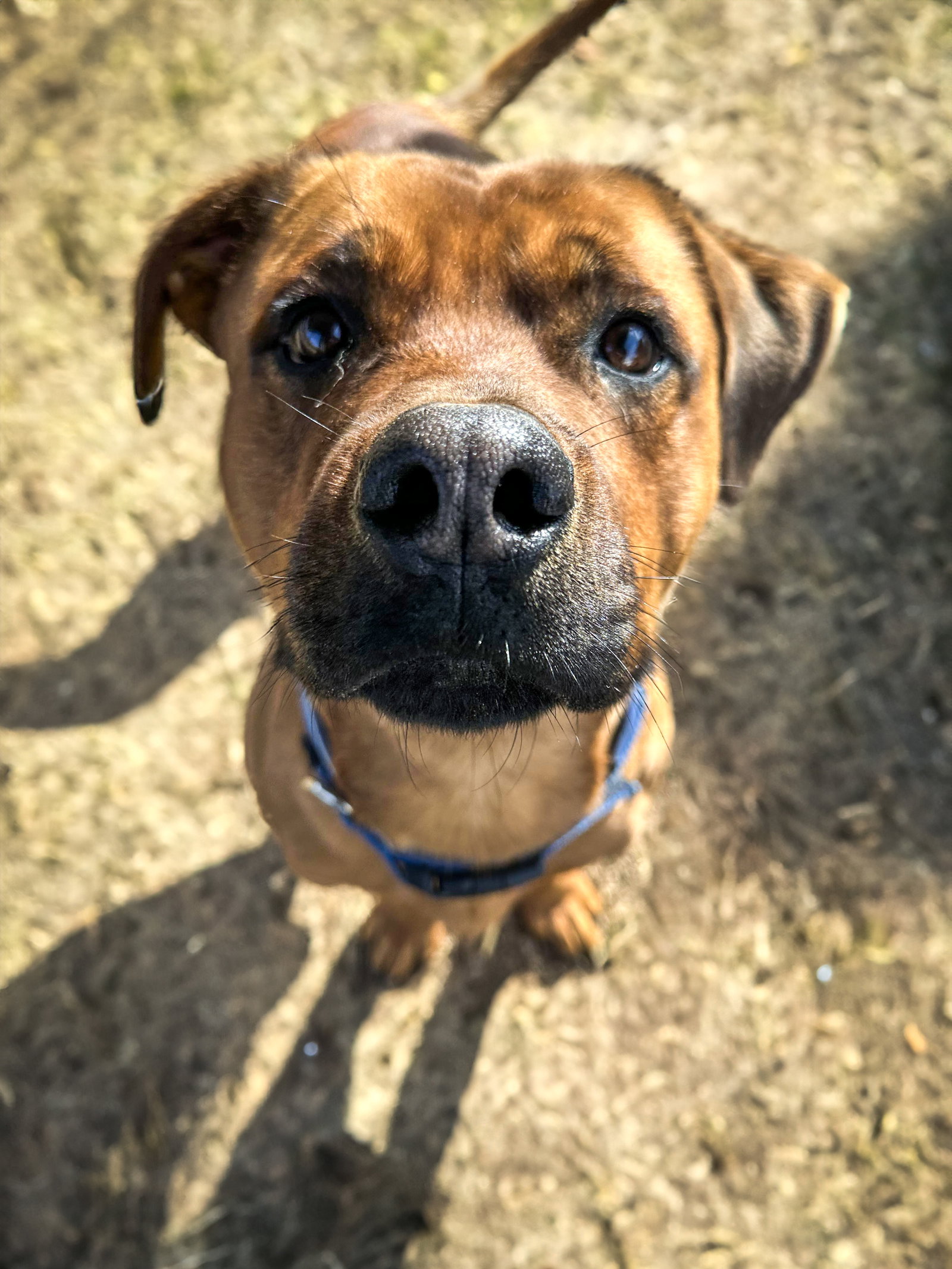 GUS, photo 6