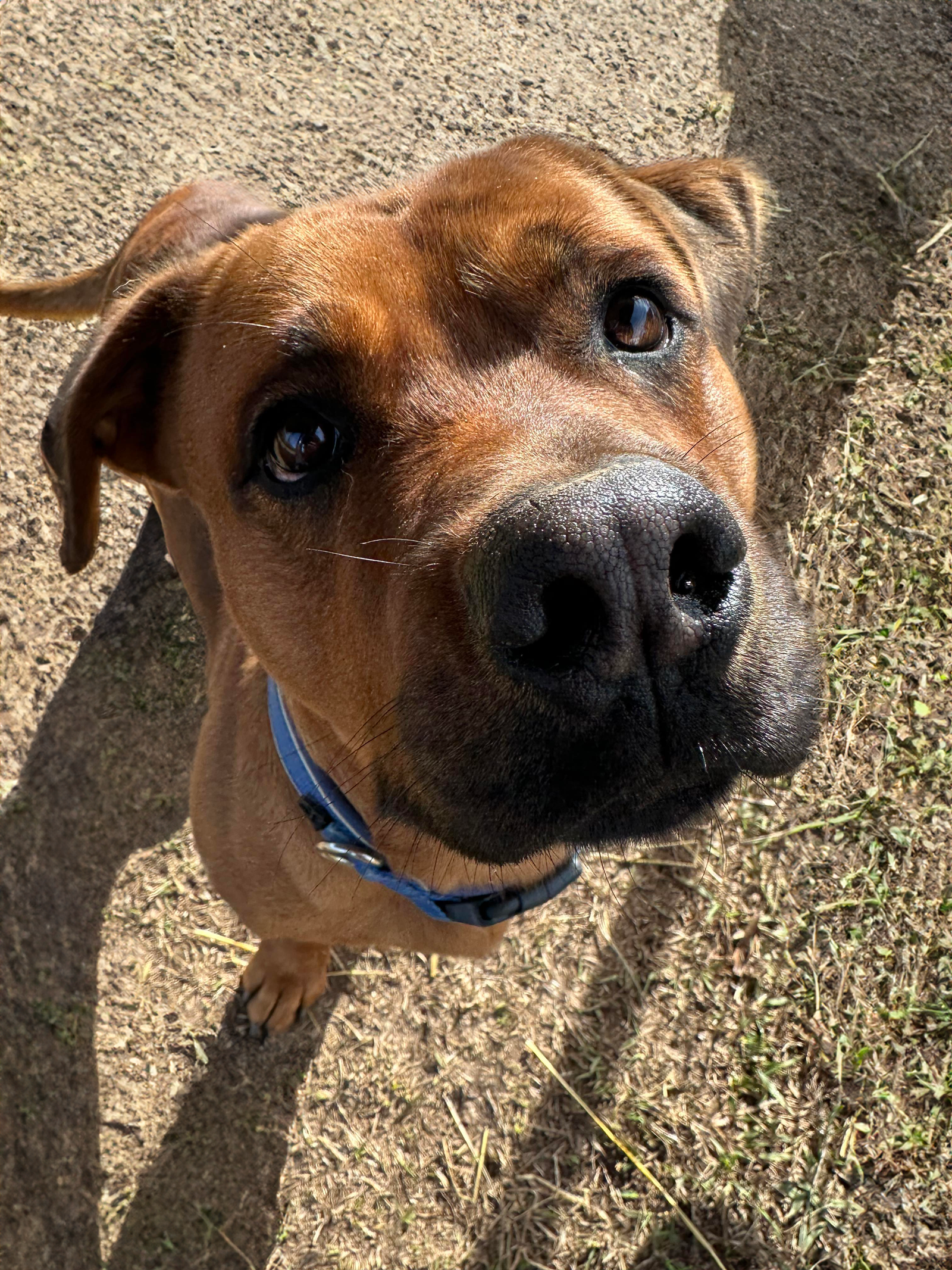 GUS, photo 18