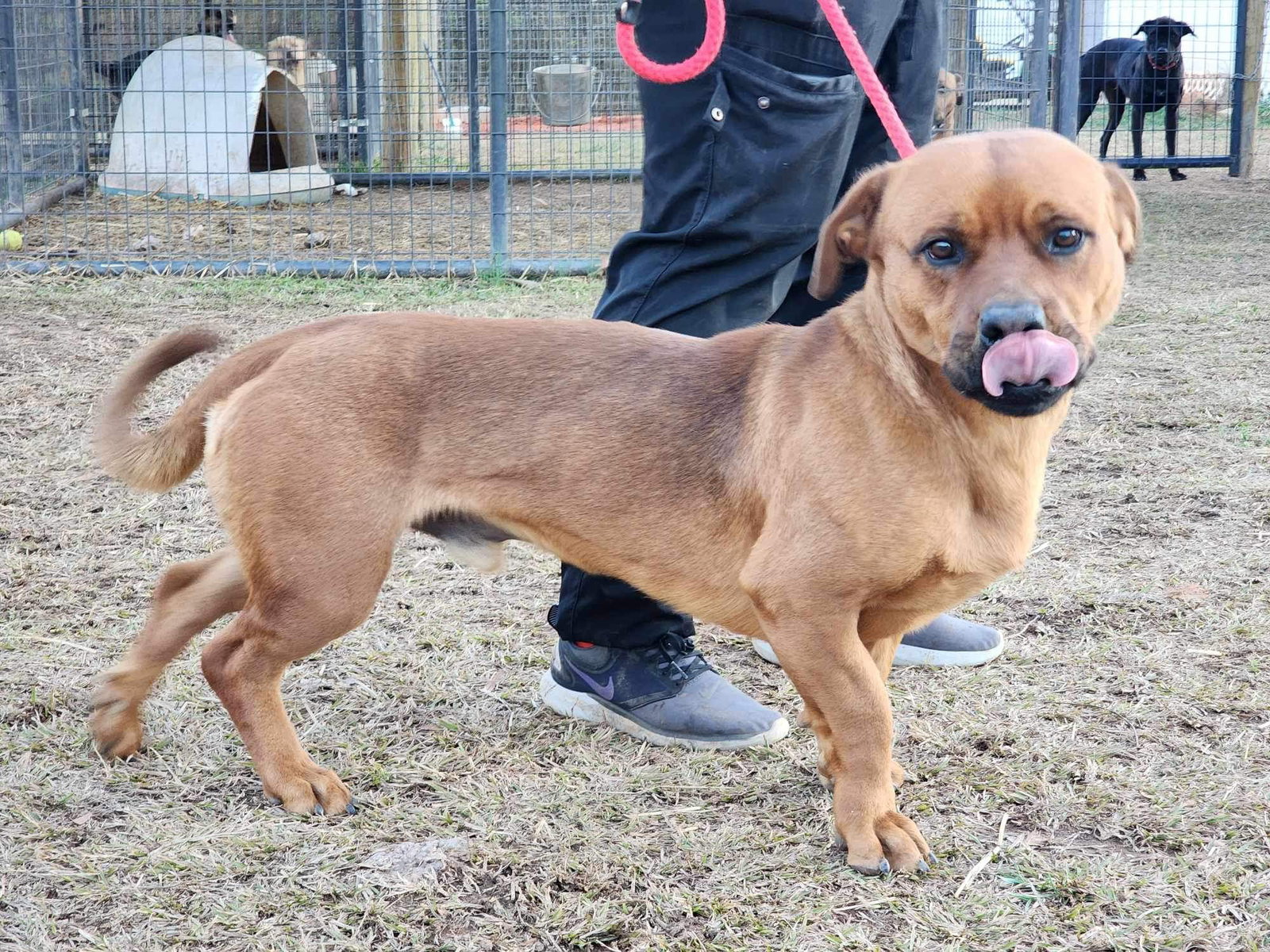 GUS, photo 13
