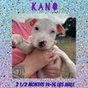 KANO