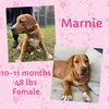 MARNIE