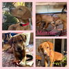 MARNIE