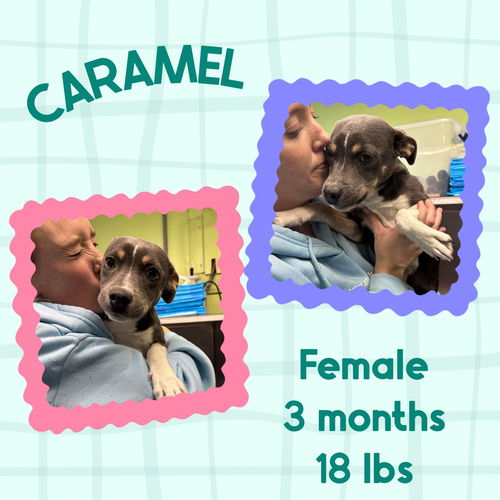 CARAMEL
