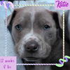 KATIE