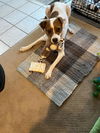 BARKLEY