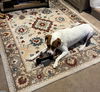 BARKLEY