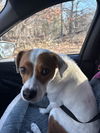 BARKLEY