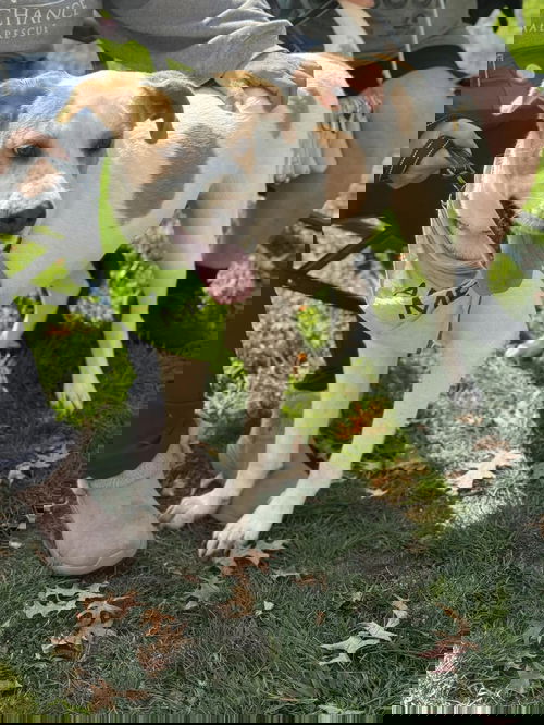 ELIJAH