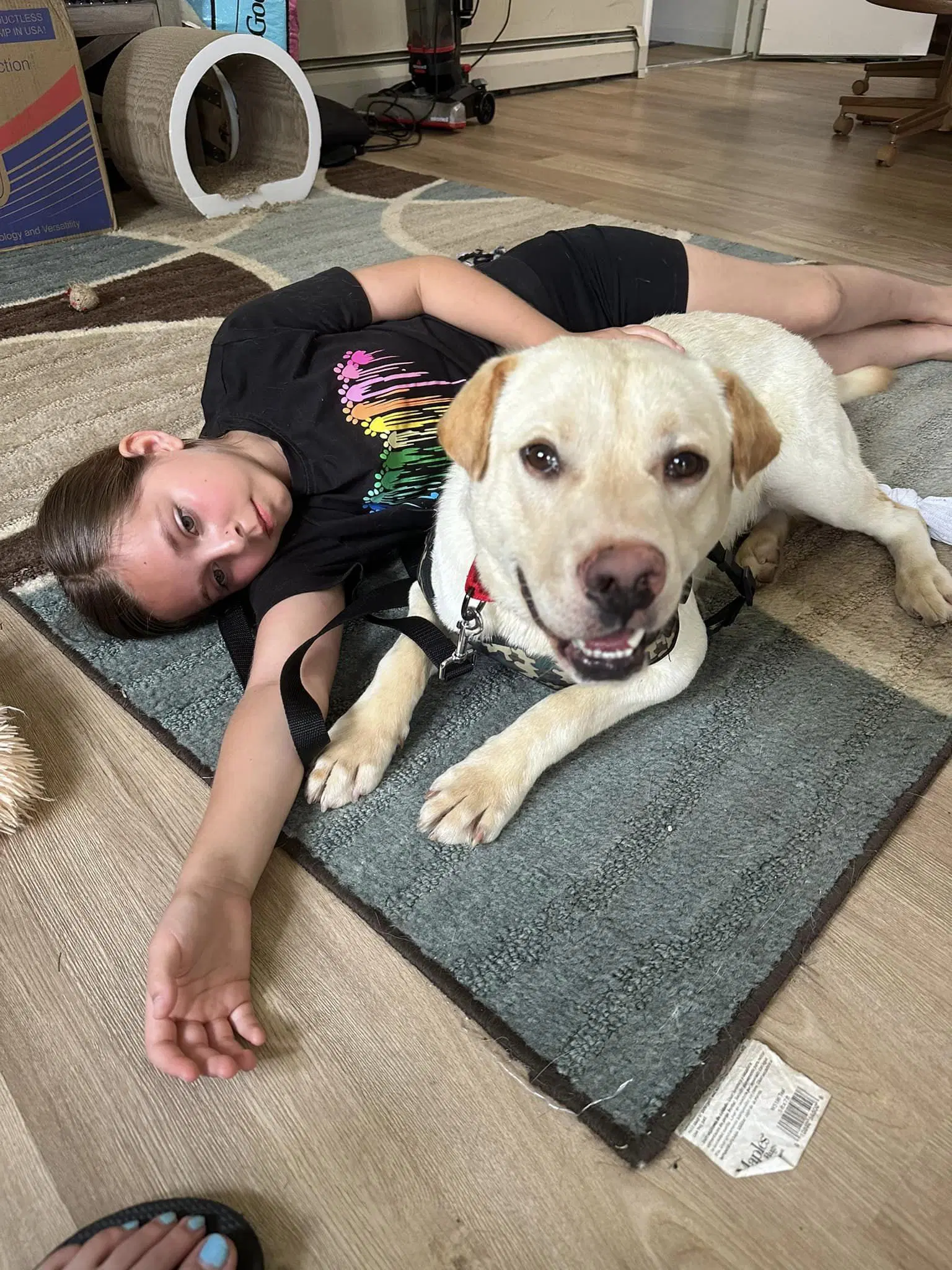 Finnlyn Aka Charlie - Labrador Retriever