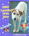 COMET