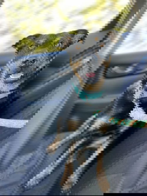 LEE