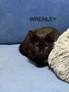 WRENLEY