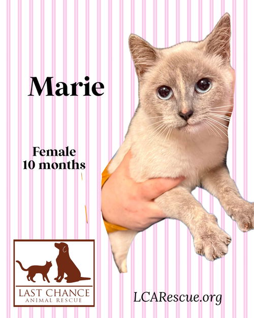 MARIE