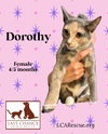 DOROTHY