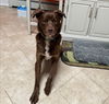 RILEY