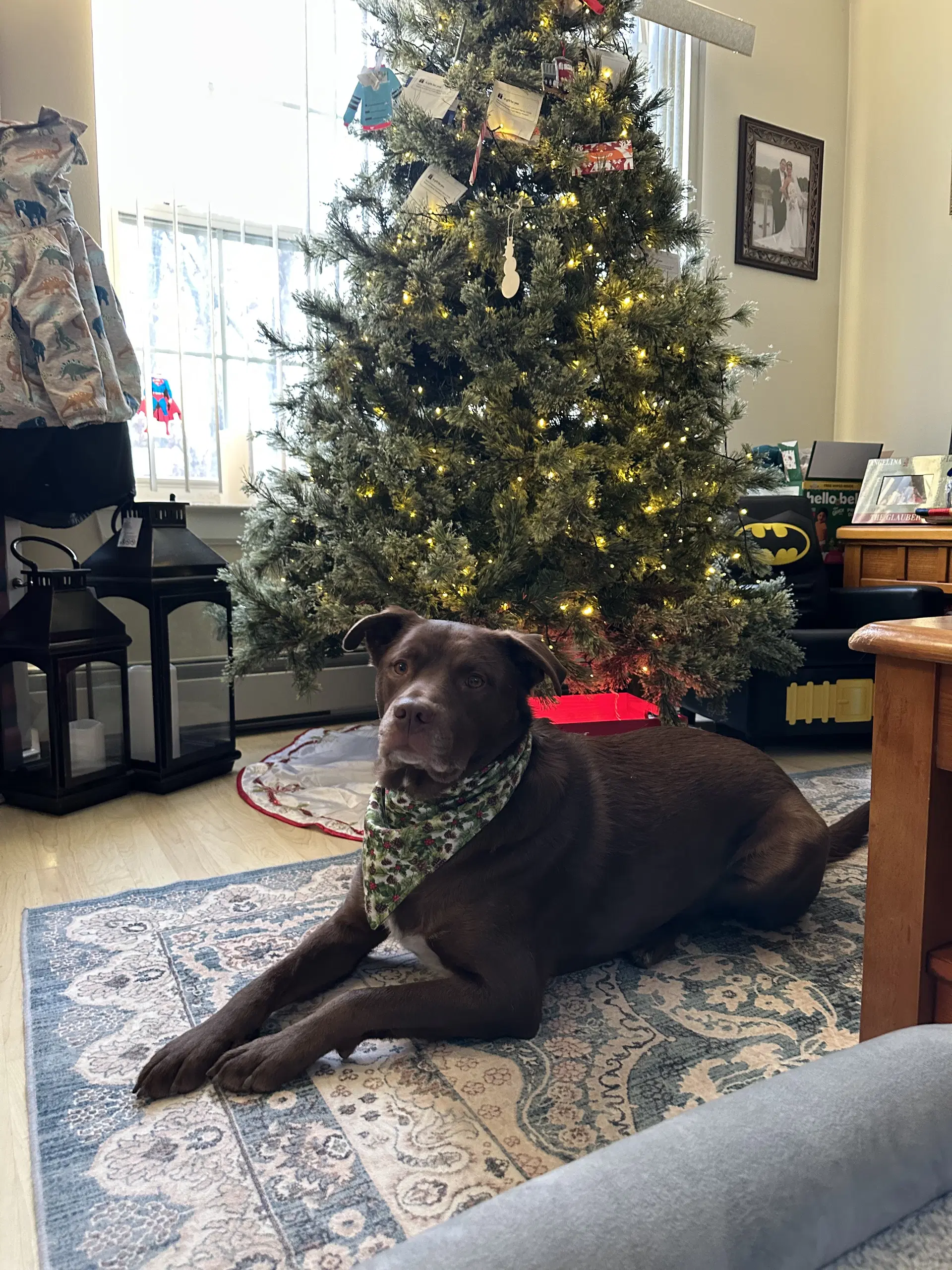 Riley image 2