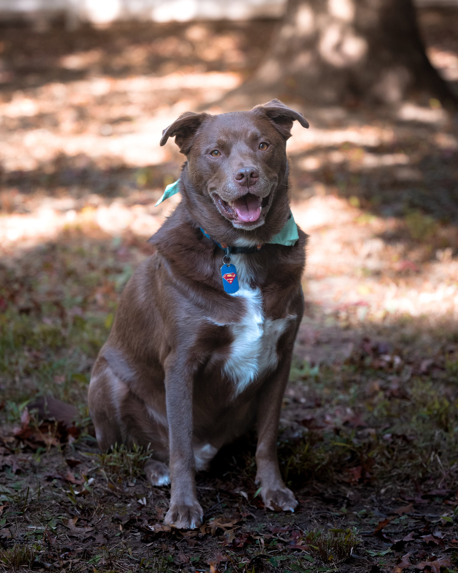 RILEY, photo 2