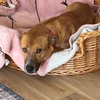 RORY - Photo 5