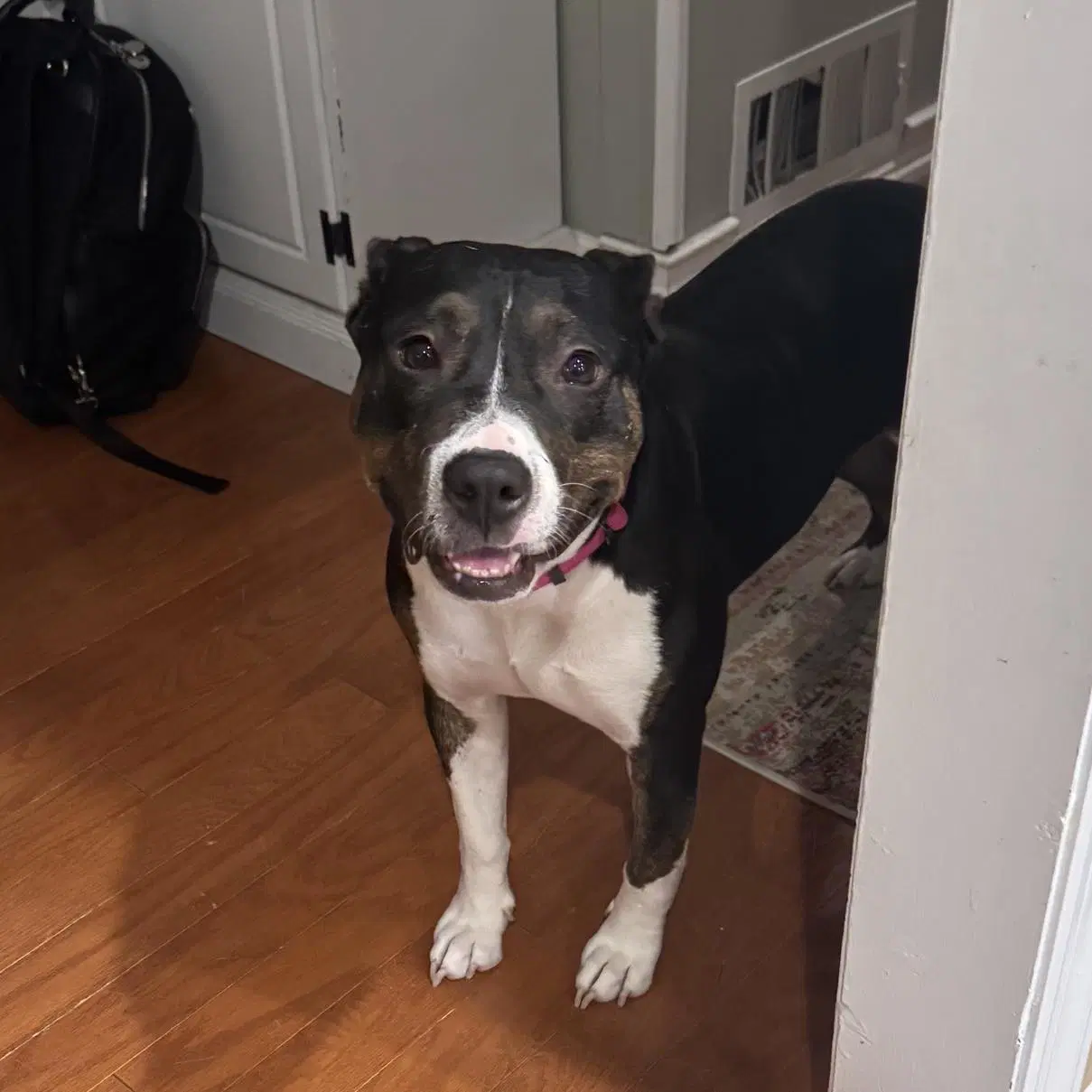 Sadie image 3
