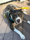 SADIE LADY - Photo 4