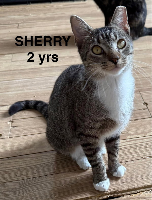 SHERRY