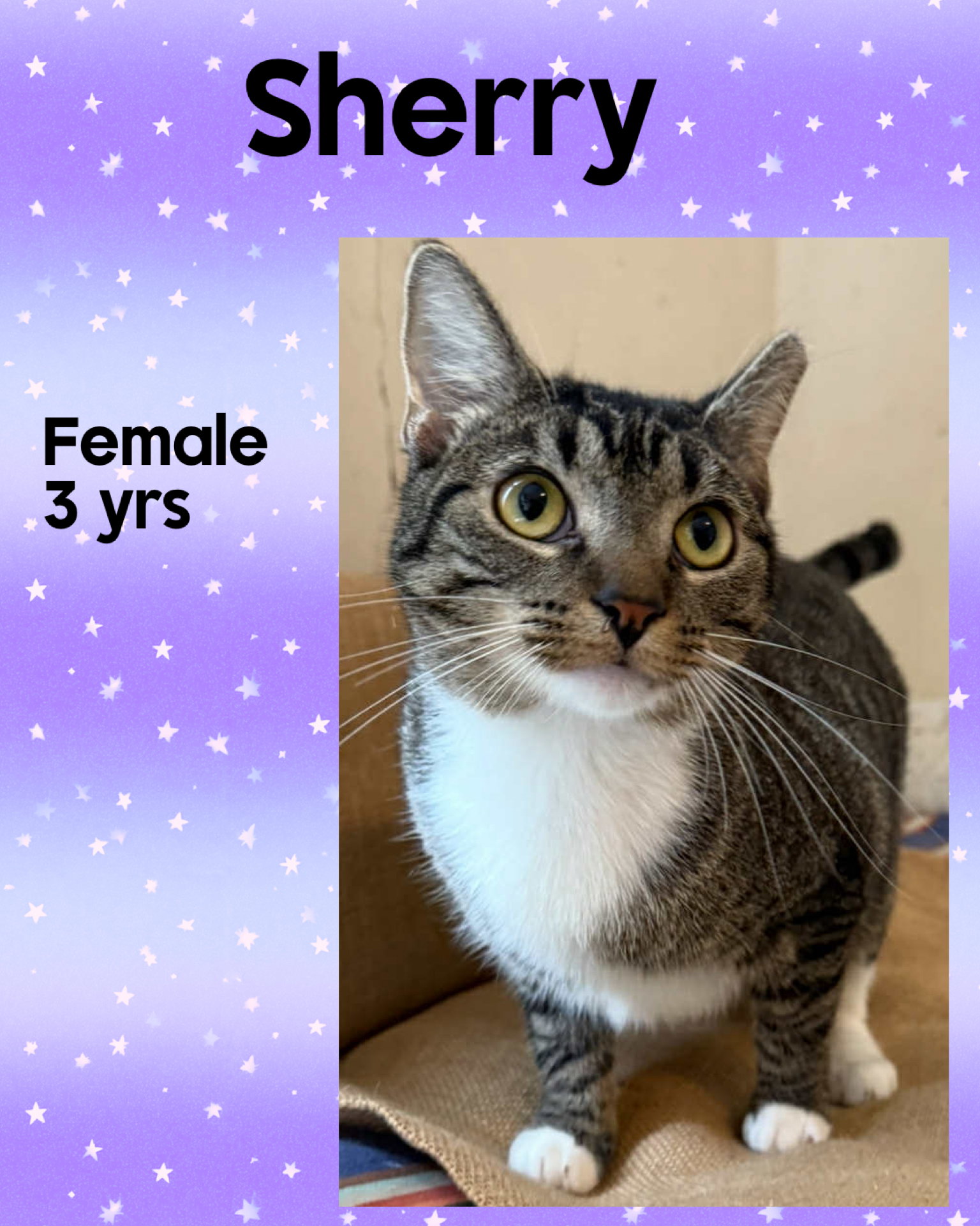 SHERRY