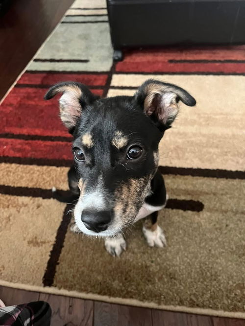 COOPER