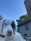 NALA