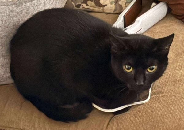 SUKI