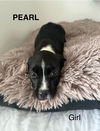 PEARL