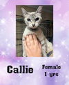 CALLIE