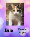 EVIE