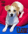 CLAIRE