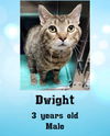 DWIGHT